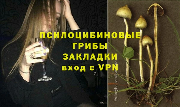 бошки Богданович